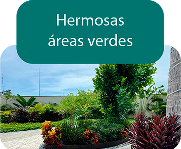 Amenidades exclusivas en Acapulco Diamante, incluyendo alberca, gimnasio, y áreas verdes.