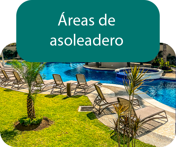Amenidades exclusivas en Acapulco Diamante, incluyendo alberca, gimnasio, y áreas verdes.